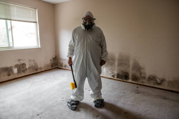 Best Emergency Mold Remediation in North Star, DE